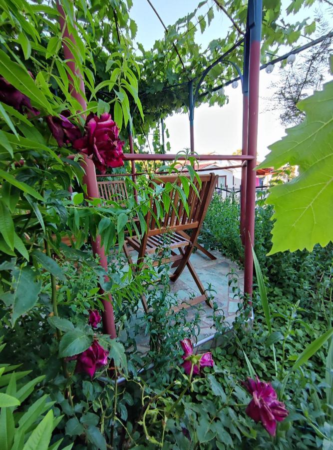 Summer Time 普莱曼图拉 外观 照片