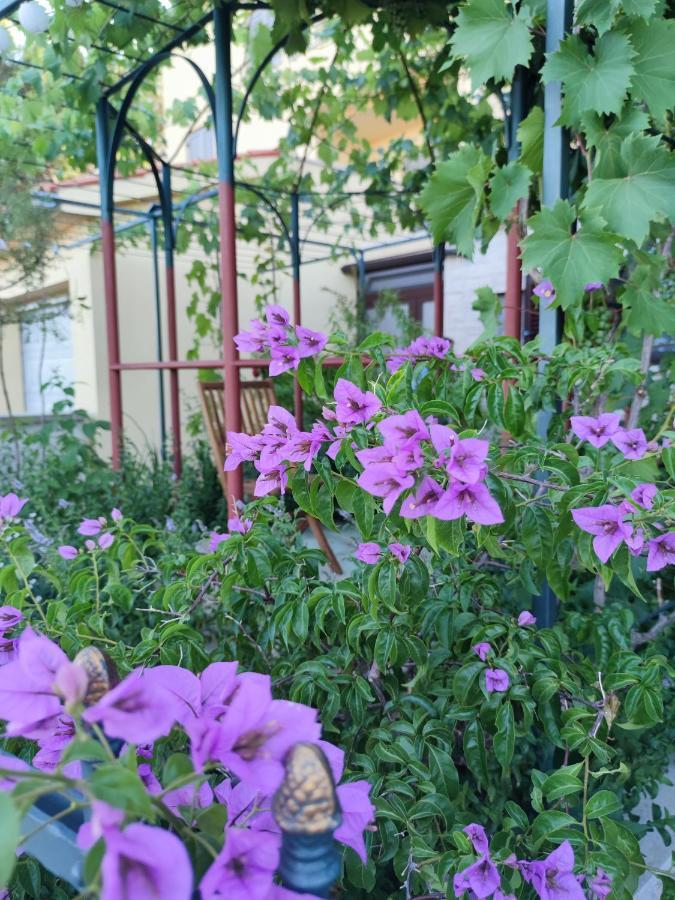 Summer Time 普莱曼图拉 外观 照片