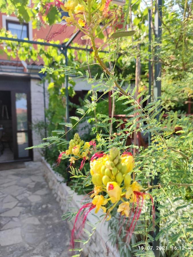 Summer Time 普莱曼图拉 外观 照片